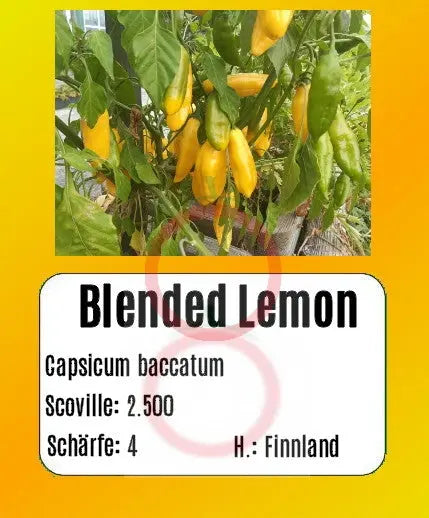 Blended lemon clearance