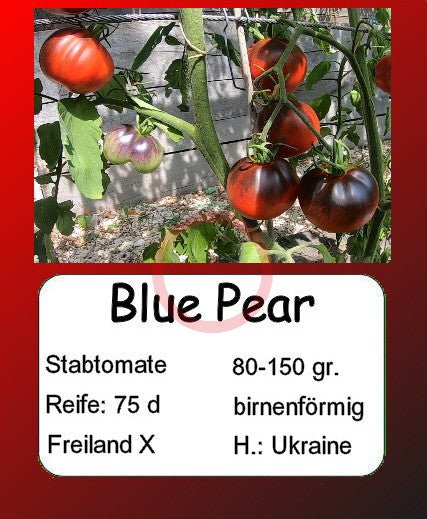 Blue Pear – DER TOMATENFLÜSTERER