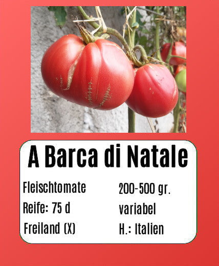 A Barca di Natale DER TOMATENFLÜSTERER