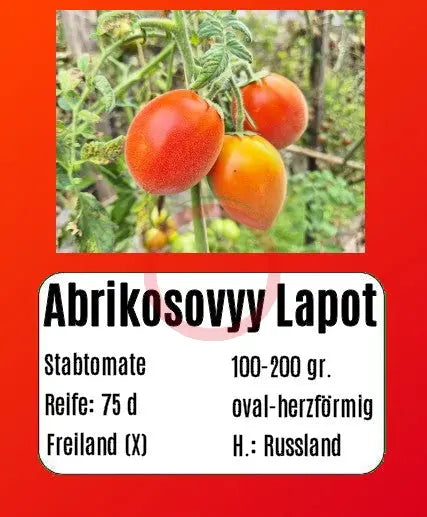 Abrikosovyy Lapot DER TOMATENFLÜSTERER