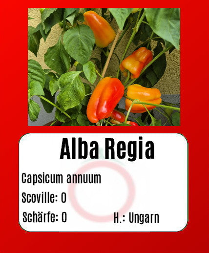 Alba Regia DER TOMATENFLÜSTERER