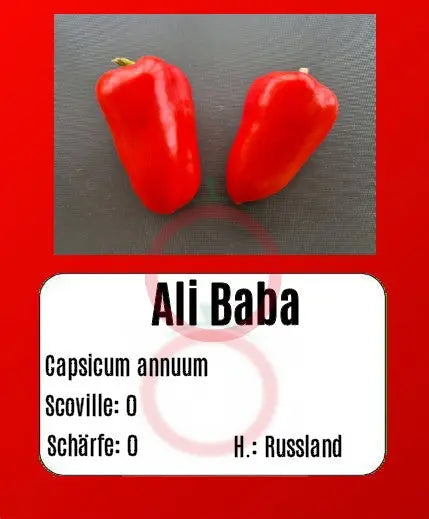 Ali Baba DER TOMATENFLÜSTERER