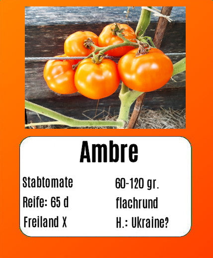 Ambre DER TOMATENFLÜSTERER