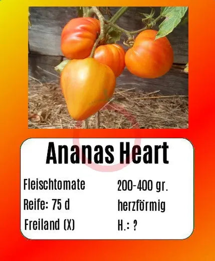 Ananas Heart DER TOMATENFLÜSTERER