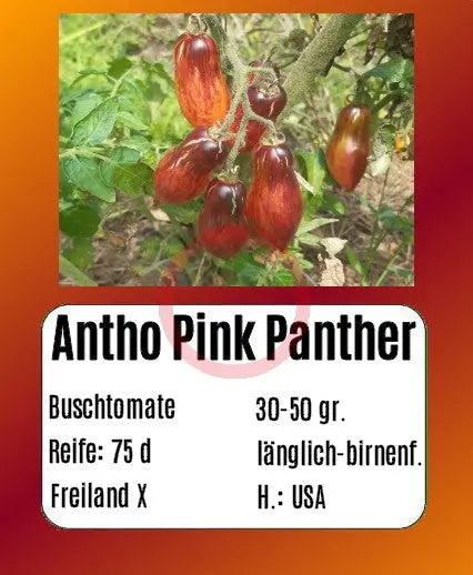 Antho Pink Panther DER TOMATENFLÜSTERER