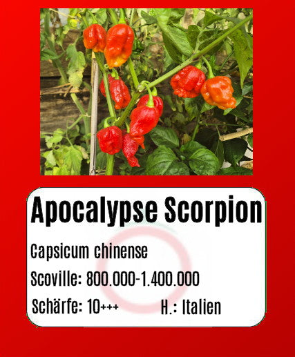 Apocalypse Scorpion DER TOMATENFLÜSTERER