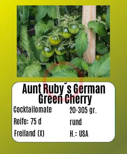 Aunt Rubys German Green Cherry DER TOMATENFLÜSTERER