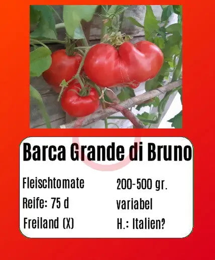 Barca Grande di Bruno DER TOMATENFLÜSTERER