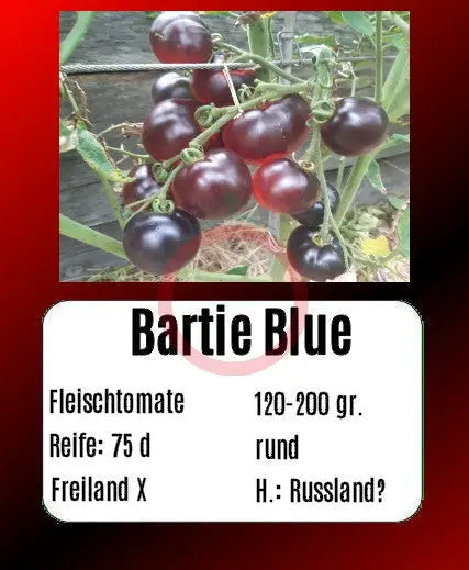 Bartie Blue DER TOMATENFLÜSTERER