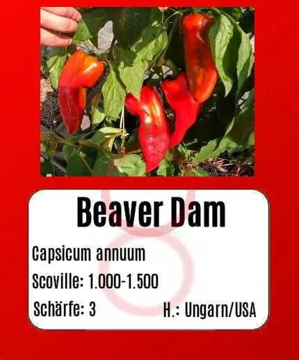 Beaver Dam DER TOMATENFLÜSTERER