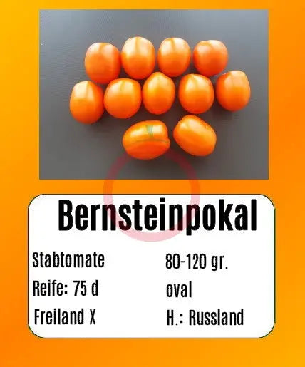 Bernsteinpokal DER TOMATENFLÜSTERER