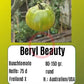 Beryl Beauty DER TOMATENFLÜSTERER