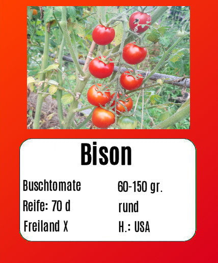 Bison DER TOMATENFLÜSTERER