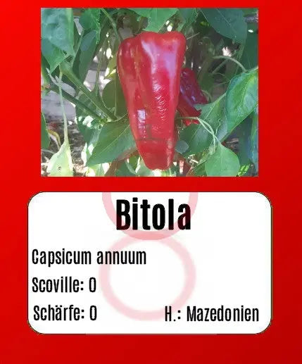 Bitola DER TOMATENFLÜSTERER