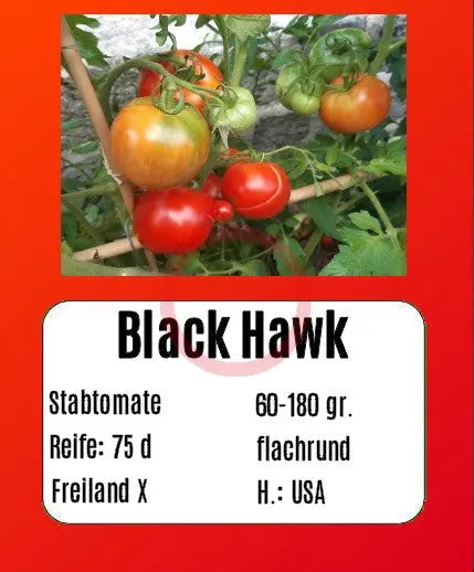 Black Hawk DER TOMATENFLÜSTERER