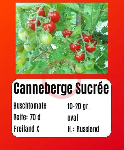 Canneberge Sucreé DER TOMATENFLÜSTERER