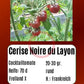 Cerise Noire du Layon DER TOMATENFLÜSTERER