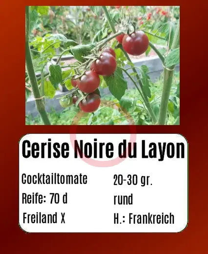 Cerise Noire du Layon DER TOMATENFLÜSTERER