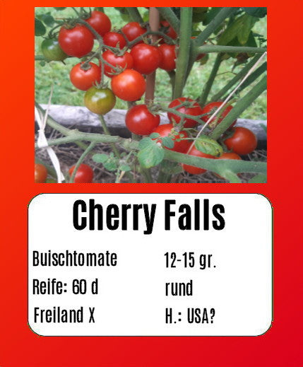 Cherry Falls DER TOMATENFLÜSTERER