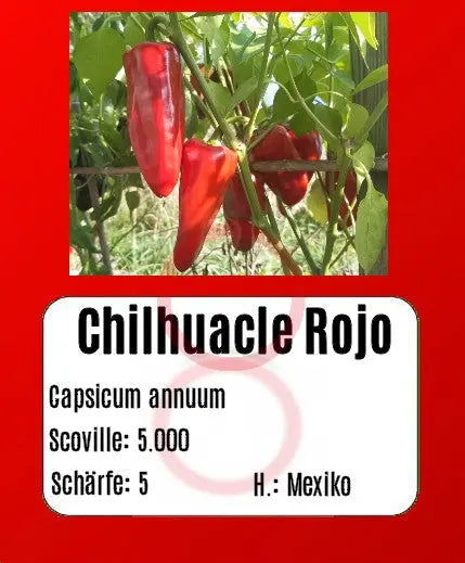 Chilhuacle Rojo DER TOMATENFLÜSTERER