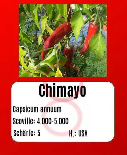 Chimayo DER TOMATENFLÜSTERER