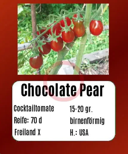 Chocolate Pear DER TOMATENFLÜSTERER