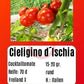 Cieligino d´Ischia DER TOMATENFLÜSTERER