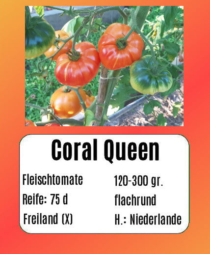 Coral Queen DER TOMATENFLÜSTERER