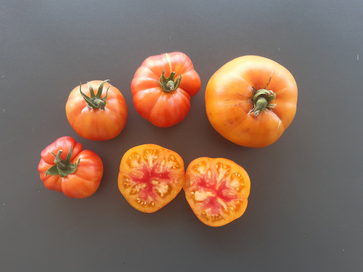 Coral Queen DER TOMATENFLÜSTERER