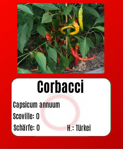 Corbaci DER TOMATENFLÜSTERER