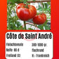 Côte de Saint André DER TOMATENFLÜSTERER