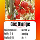 Cox Orange DER TOMATENFLÜSTERER