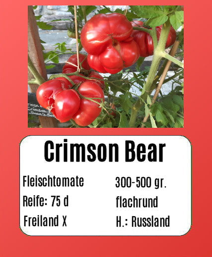 Crimson Bear DER TOMATENFLÜSTERER