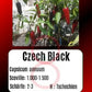 Czech Black DER TOMATENFLÜSTERER