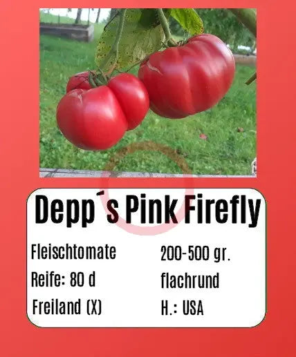 Depp´s Pink Firefly DER TOMATENFLÜSTERER