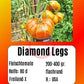 Diamond Legs DER TOMATENFLÜSTERER