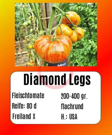 Diamond Legs DER TOMATENFLÜSTERER