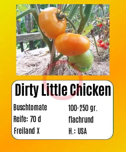 Dirty Little Chicken DER TOMATENFLÜSTERER