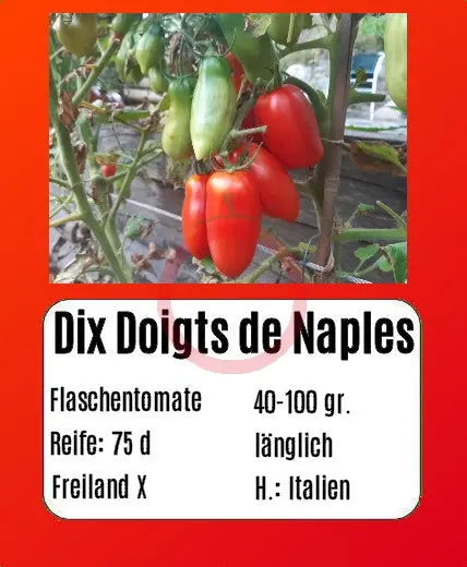 Dix Doigts de Naples DER TOMATENFLÜSTERER