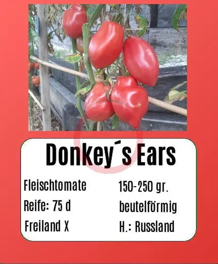 Donkey´s Ears DER TOMATENFLÜSTERER