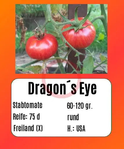 Dragon´s Eye DER TOMATENFLÜSTERER