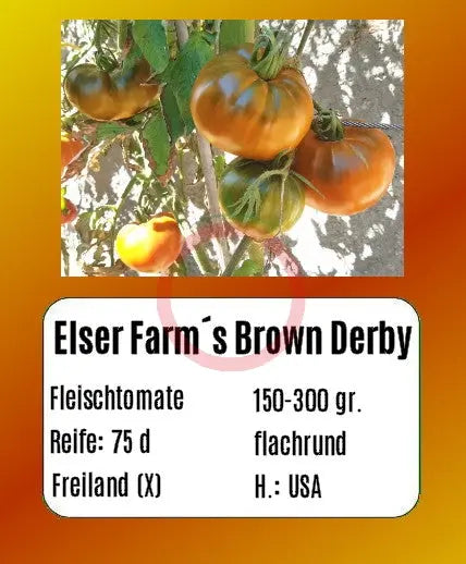 Elser Farm´s Brown Derby DER TOMATENFLÜSTERER