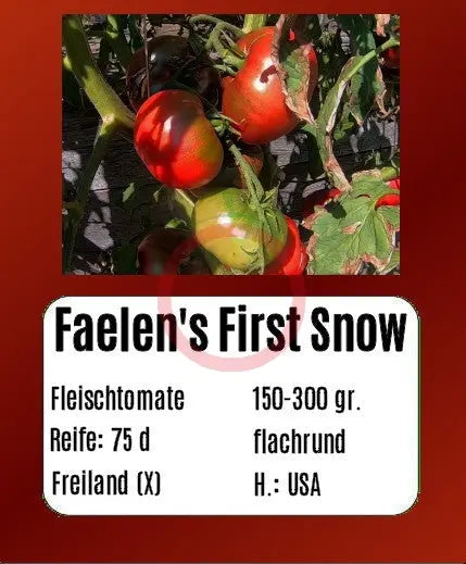 Faelen´s First Snow DER TOMATENFLÜSTERER