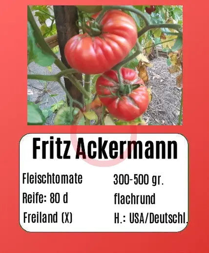 Fritz Ackermann DER TOMATENFLÜSTERER