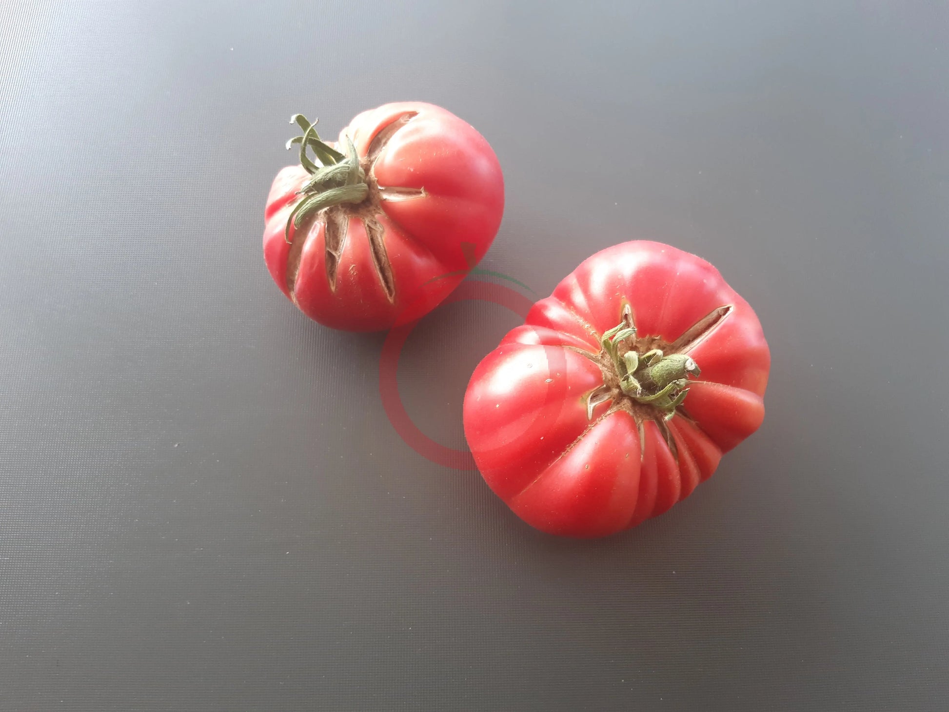 Fritz Ackermann DER TOMATENFLÜSTERER