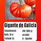 Gigante De Galicia DER TOMATENFLÜSTERER