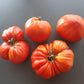 Gigante De Galicia DER TOMATENFLÜSTERER