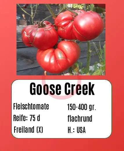 Goose Creek DER TOMATENFLÜSTERER