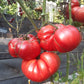 Goose Creek DER TOMATENFLÜSTERER