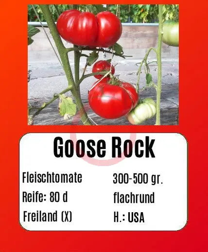 Goose Rock DER TOMATENFLÜSTERER